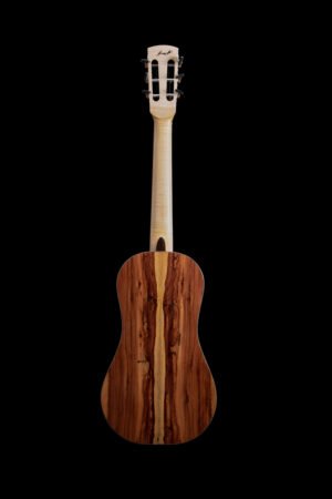 Parlor Guitar 6 steel strings